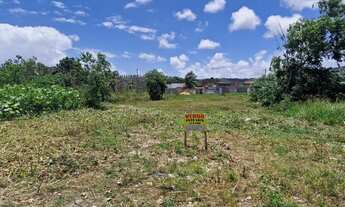 Imagem: Terreno 12 x 30 nascente - Imperial em Marechal