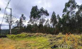 Imagem 5: TERRENOS EM COTIA COM VISTA PRIVILEGIADA!