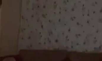 Imagem 5: Sobrado em Rua Canadá - Centro - Diadema/SP