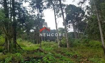 Imagem 5: Lote em Estrada Principal Rincão dos Kroeff - Rincão do kroeff - São Francisco de Paula/RS