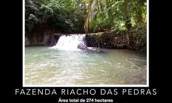 Imagem: Fazenda na região de Acorizal - Comunidade