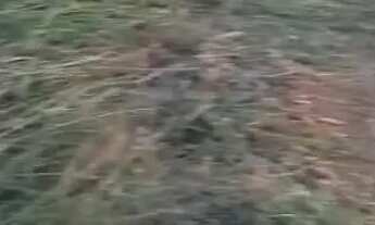 Imagem: Vendo lote no Eparque Leste