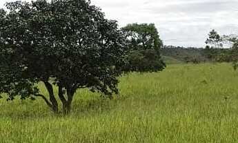 Imagem 2: VENDO 4 ALQUEIRES RURAL