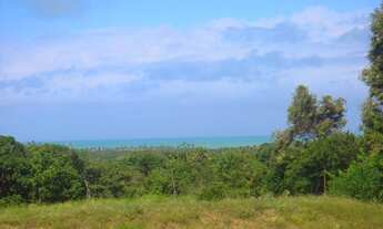 Imagem 2: Fazenda/Sítio/Chácara para venda com 100000 metros quadrados em Praia Bela - Pitimbu - PB