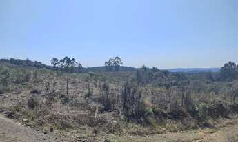 Imagem 4: Terreno Rural em Campo Alegre - SC