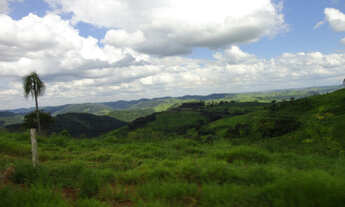 Imagem 4: 220 Alq. Guaraniaçu-Pr