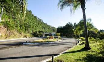 Imagem 2: Barbada - Maravilhoso - Oportunidade Única