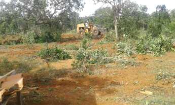 Imagem 7: Linda fazendinha a 6 km do centro da cidade, Baldim (Temos varias opções)
