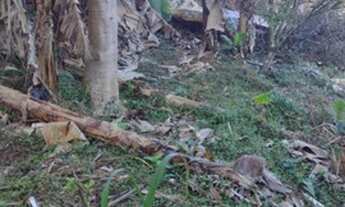 Imagem 5: Vendo excelente terreno semiplano na Tijuca em Teresópolis!