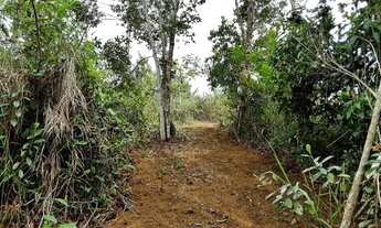 Imagem 5: Terreno sem benfeitorias para formação de sitio de lazer