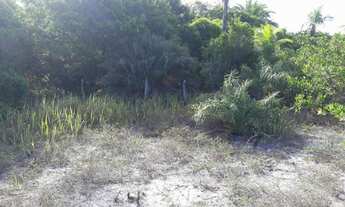 Imagem 4: Terreno Praia do Grauçá