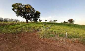 Imagem 2: Riviera de Santa Cristina II - Excelentes Lotes!