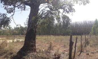 Imagem 4: Chacara Chácara com venda por R$5.600.011