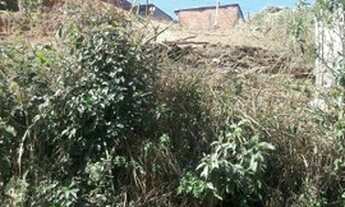 Imagem 2: Vendo um terreno no ipava