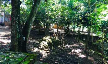 Imagem 5: Chácara com 900 metros 5 minutos do centro próximo ao Atacadão dia dia