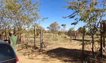 Imagem 3: Chácara excelente oportunidade