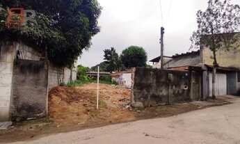 Imagem 5: Terreno - Figueira - Mage