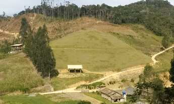 Imagem 4: Vendo linda chácara 1 hectares!