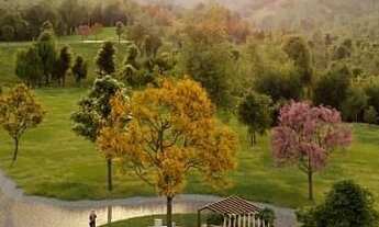 Imagem 3: Vendo Fazendinha com Vista das Lagoas 109.980 + Parcelas