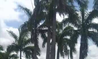 Imagem 6: Aluga-se apartamento