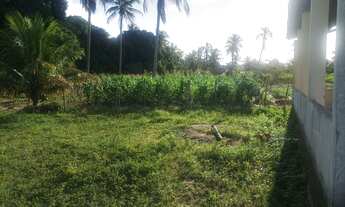 Imagem 5: Sítio a 6 km Praia Caueira