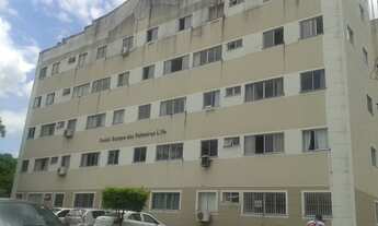 Imagem: BOSQUE DAS PALMEIRAS