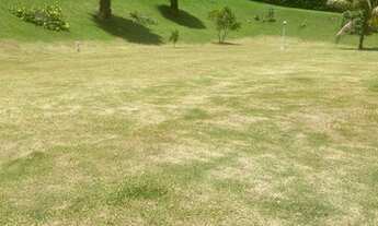 Imagem 4: Terreno Lindo no Cond Ecoville -Km 46 Castelo Branco