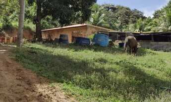 Imagem: Sítio a venda