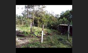 Imagem 4: Linda Chácara Santo Antônio da Patrulha