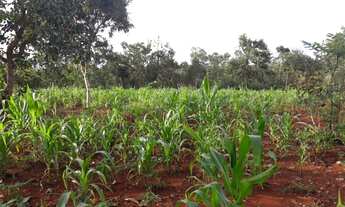 Imagem: Troco chácara