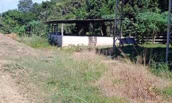 Imagem 7: Venda Sítio - 24 hectares - Casa sede e de Caseiro - Nossa Senhora do Livramento - MT