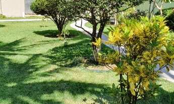 Imagem 2: Vila Velha - Terreno Padrão - Praia Da Costa