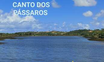 Imagem 2: LOTE 300 M2 / 60 X SEM JUROS / CANTO DOS PÁSSAROS / BARRA DO JACUÍPE