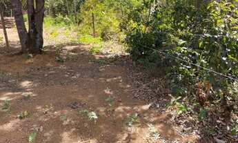 Imagem 5: Lote de 500m a1km do asfalto próximo a baldim