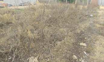 Imagem 2: Terreno Terreno / lote com venda por R$15.000