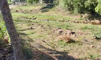 Imagem 5: Chácara com Casa Enxaimel em Lindolfo Collor REF: 210332