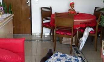 Imagem 3: APARTAMENTO 02 DORMITÓRIOS 01 VAGA 55M² VILA EMA