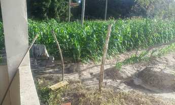 Imagem 4: Sítio a 6 km Praia Caueira