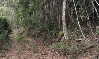 Imagem 2: Sítio com nascente em Santa Leopoldina