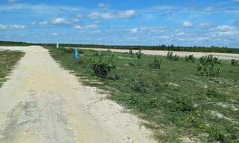 Imagem 3: Loteamento Lagoas Do Giral A 990 Metros Da Praia A 02 Km Do Centro Do Paracuru!.. n°:21
