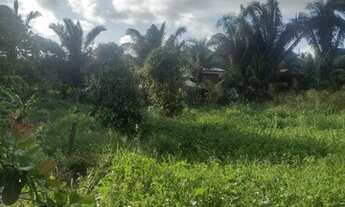 Imagem 7: Casa barato para verder