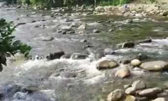 Imagem 5: 2 Casas - Sertão do Taquari - Paraty