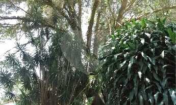 Imagem 7: TERRENO PARA VENDA