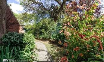 Imagem 7: São Paulo - Casa Padrão - Alto de Pinheiros