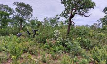 Imagem 6: Fazenda à venda, 154 alq - Zona Rural - General Carneiro/MT