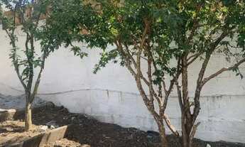 Imagem 2: Imóvel para Investimento ótima Localização