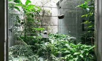 Imagem 6: Casa para Aluguel - Belém, 3 Quartos, 350 m2