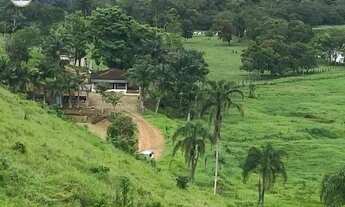 Imagem 7: Fazenda com 3 dormitórios à venda, 2480000 m² por R$ 6.500.000 - Zona Rural. - Juquiá/SP