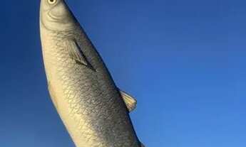 Imagem 5: Hospedagem por dia ) Apt Super centralizado e perto da praia