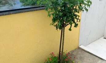 Imagem 6: VENDO CASA EM PIÚMA -ES